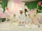 مراسم جشن تکلیف در مرقد صافی صفا 3
