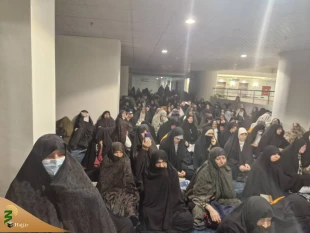 زائران بیت‌الله، عزادار باقرالعلوم +تصاویر 3