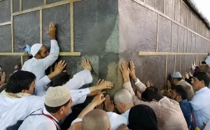 حاجی نوشت؛
غفارم! آنچه از گناه بر تنم روییده، آب کن