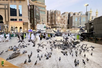  پرشور و معنوی؛ روز نخست حج تمتع در قاب تصویر 3