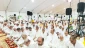 آغاز مراسم «برائت از مشرکین» در عرفات 2