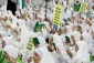 متن و حاشیه مراسم باشکوه برائت از مشرکین در عرفات 9