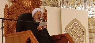 برگزاری دعای روحبخش عرفه در صحن حضرت زهرا (س) نجف اشرف 2