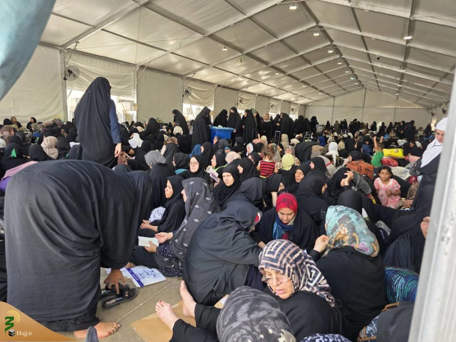 نیایش زائران کربلا در روز عرفه 8