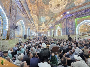 نیایش زائران کربلا در روز عرفه 12