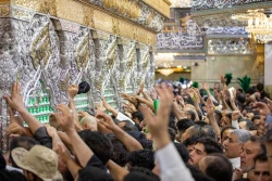 مراسم پرفیض دعای عرفه در کربلای معلی 39
