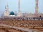 بقیع 1400سال است که با ناله‌های ام‌البنین ناله می‌کند 2