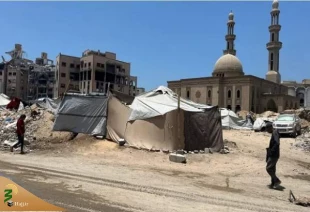 عالم الازهر: حاجیان در احرام هستند و غزه در کفن 2