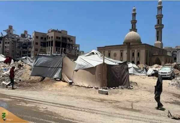 عالم الازهر: حاجیان در احرام هستند و غزه در کفن 2