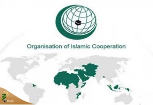 محکومیت حمله به کشتی مادلین 4