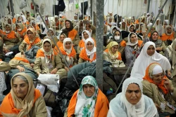 تذکر سرپرست حجاج ایرانی در شکرانه عید سعید قربان: مراقب غفلت باشیم 6