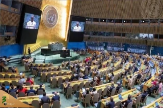 استقبال سازمان همکاری اسلامی از تصویب قطعنامه آتش‌بس در غزه
