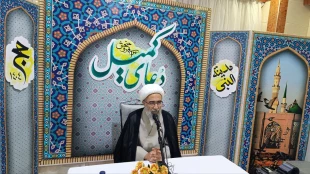 دعای زائران مدینه برای ایران؛ مروی: قوت رزمندگان دشمن را ترسانده 6