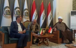 به ایران برای پیروزی در قبال تعرض رژیم صهیونیستی تبریک می‌گوییم 2