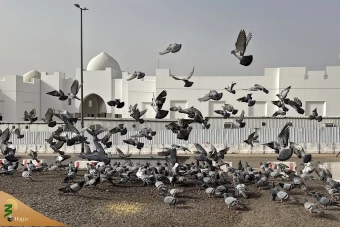 از بیت المقدس تا کعبه؛ داستان مسجد ذوقبلتین 4