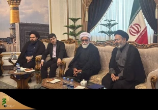 قدردانی سرپرست حجاج ایرانی از همکاری‌ عربستان 2