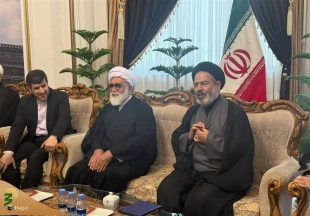 قدردانی سرپرست حجاج ایرانی از همکاری‌ عربستان 4