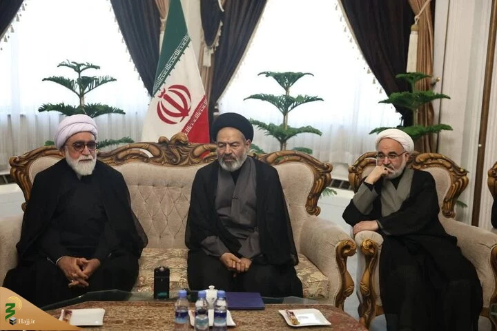 پایان عملیات بازگشت حجاج؛ فردا آخرین پرواز از مدینه انجام می‌شود 2