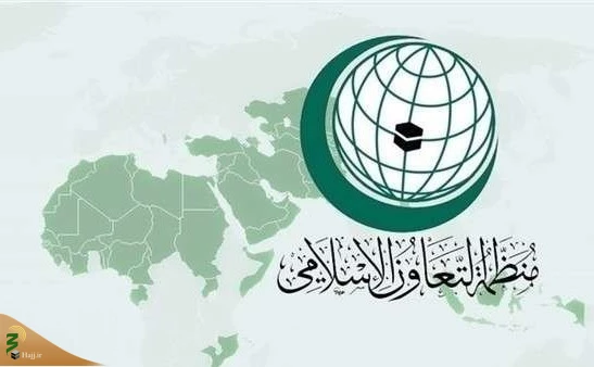 سازمان همکاری اسلامی تشدید نسل‌کشی در غزه را محکوم کرد 2