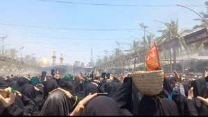روزی که حرم حضرت سیدالشهدا(ع) سهم بانوان می شود+فیلم
