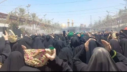 روزی که حرم حضرت سیدالشهدا(ع) سهم بانوان می شود 2