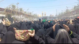 روزی که حرم حضرت سیدالشهدا(ع) سهم بانوان می شود 2