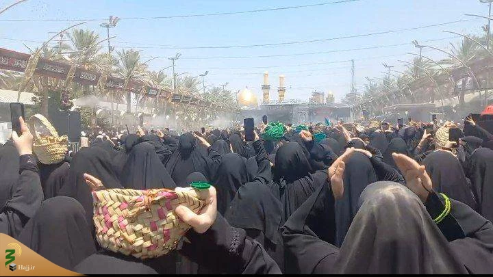 روزی که حرم حضرت سیدالشهدا(ع) سهم بانوان می شود 2