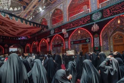 عزاداری ویژه عشیره بنی‌اسد در کربلا 14