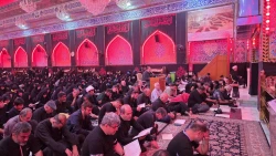 طنین دعای پر فیض کمیل در کربلای معلی 3