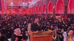 طنین دعای پر فیض کمیل در کربلای معلی 5