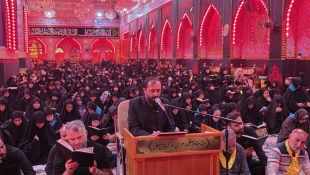 طنین دعای پر فیض کمیل در کربلای معلی 5