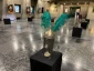 برپایی نمایشگاه «در سوگ سرو» در برج آزادی 2