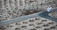 درباره بقیع