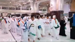 زائران در حال طواف