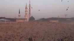 هشتم شوال سالروز تخریب قبرستان بقیع  5