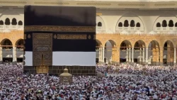 اینجا خانه خودت است+عکس و فیلم 2