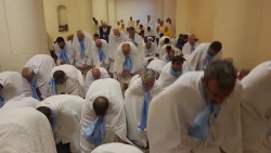 از احرام شجره تا طواف بندگی خدا 11