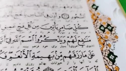 
فیلم | اتحاد امت اسلامی
 2