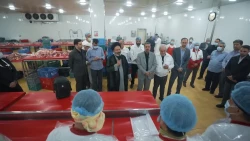 بازدید مسئول دفتر نمایندگی بعثه مقام معظم رهبری در نجف از اشپزخانه الغدیر  10