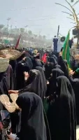روزی که حرم حضرت سیدالشهدا(ع) سهم بانوان می شود 2